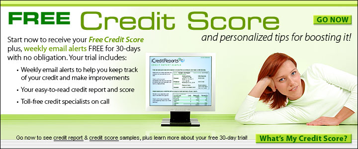 Fix Credit Report Self